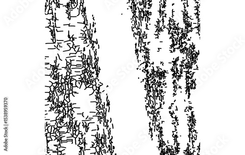 Detailed Line Art of Tree Bark Texture