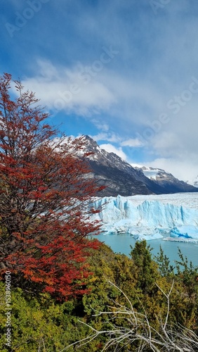 Autumn Colours at Perito Moreno Glacier, Patagonia, Argentina