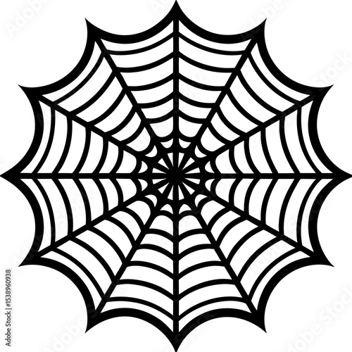 spider and web