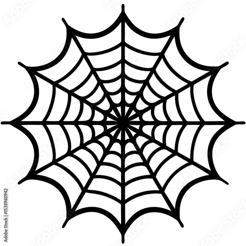 spider and web