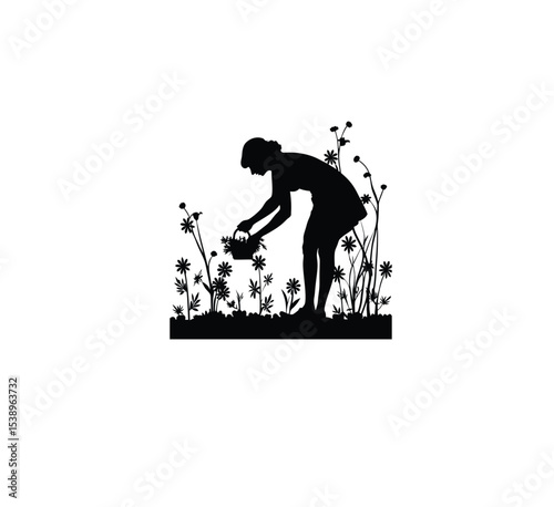 woman picking flowers silhouette on white background