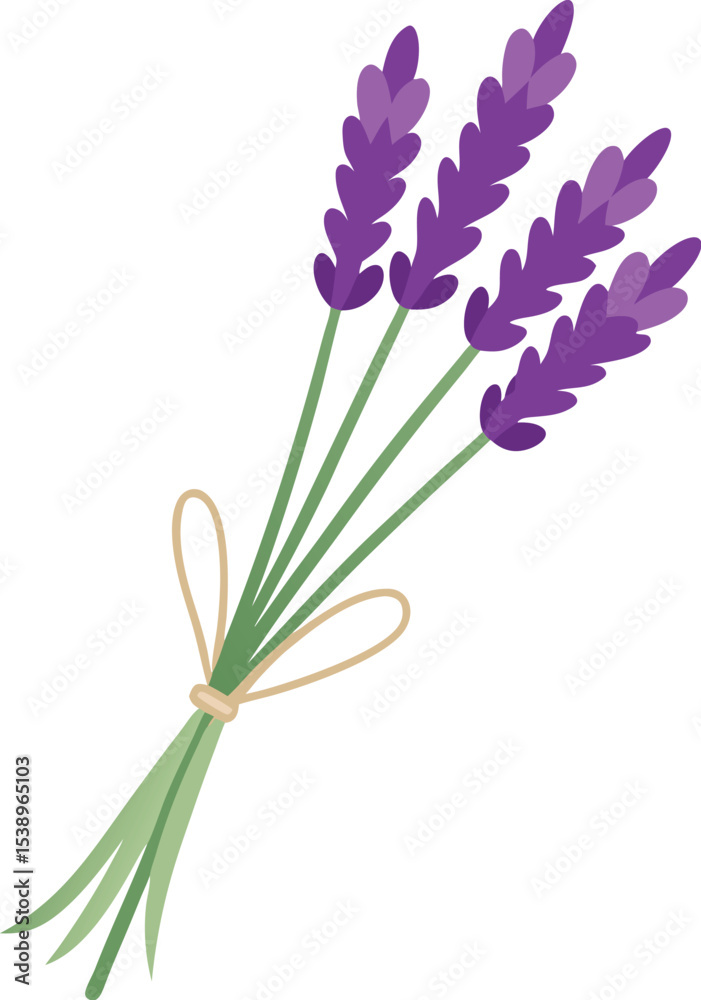 Fototapeta premium lavender flowers isolated on white