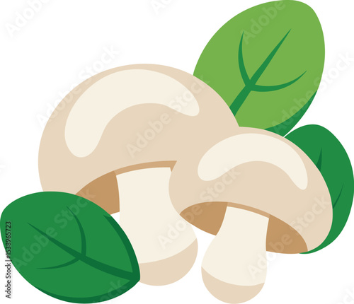 vector illustration of mushroom