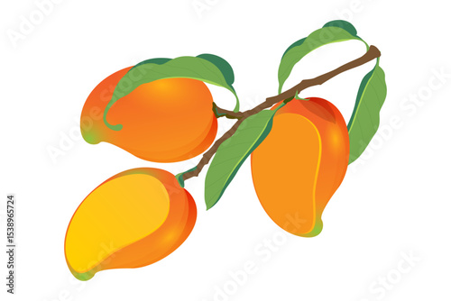  Mango Fruits Vector Illustration. mango with flowers and leaves on tree branch.
