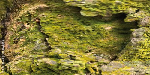 Moss on the tee nature underwater landscape background .