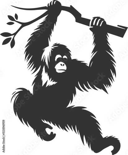 Vector illustration of a orangutan animal drawing silhouette
