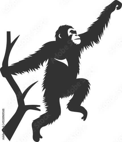 Vector illustration of a orangutan animal drawing silhouette