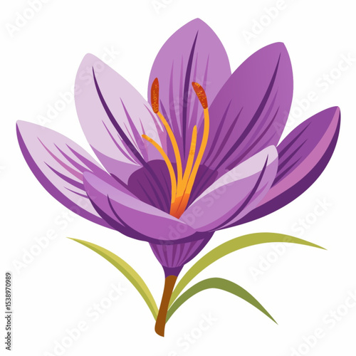 Vector illustration of pink and purple lotus flowers blooming in a tranquil water garden
