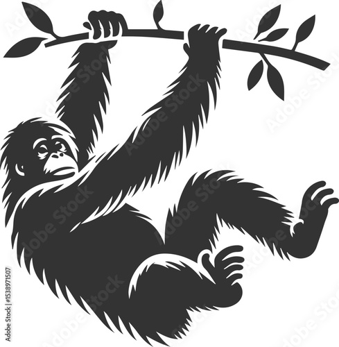 Vector illustration of a orangutan animal drawing silhouette