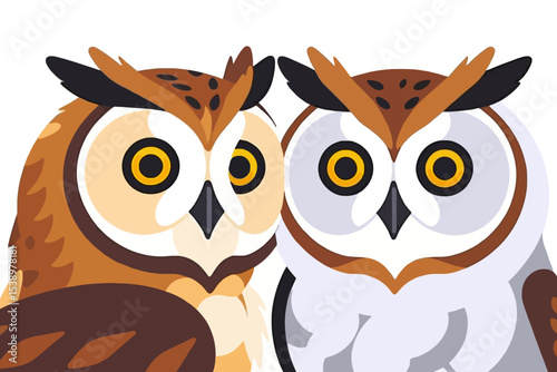 Two Cartoon Owls-Cute Bird Illustration-Owl Couple Design-Colorful Owl Art-Adorable Bird Characters-Animal Illustration-Wildlife Clipart
