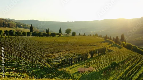 Sun-drenched view from rustic wooden doorway overlooks rolling vineyards and hills, evoking the serene beauty of the Italian countryside