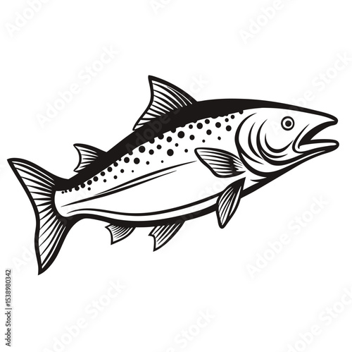 Adobe Illustrator Artwork