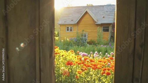 Rustic wooden door partially obscures vibrant summer garden bathed in golden sunlight with charming house in background. Perfect for themes of home, nature and tranquility
