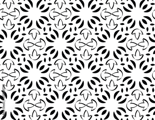 Abstract Petal Burst Pattern