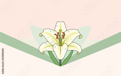 Elegant White Lily Flower Illustration A Delicate Floral Design