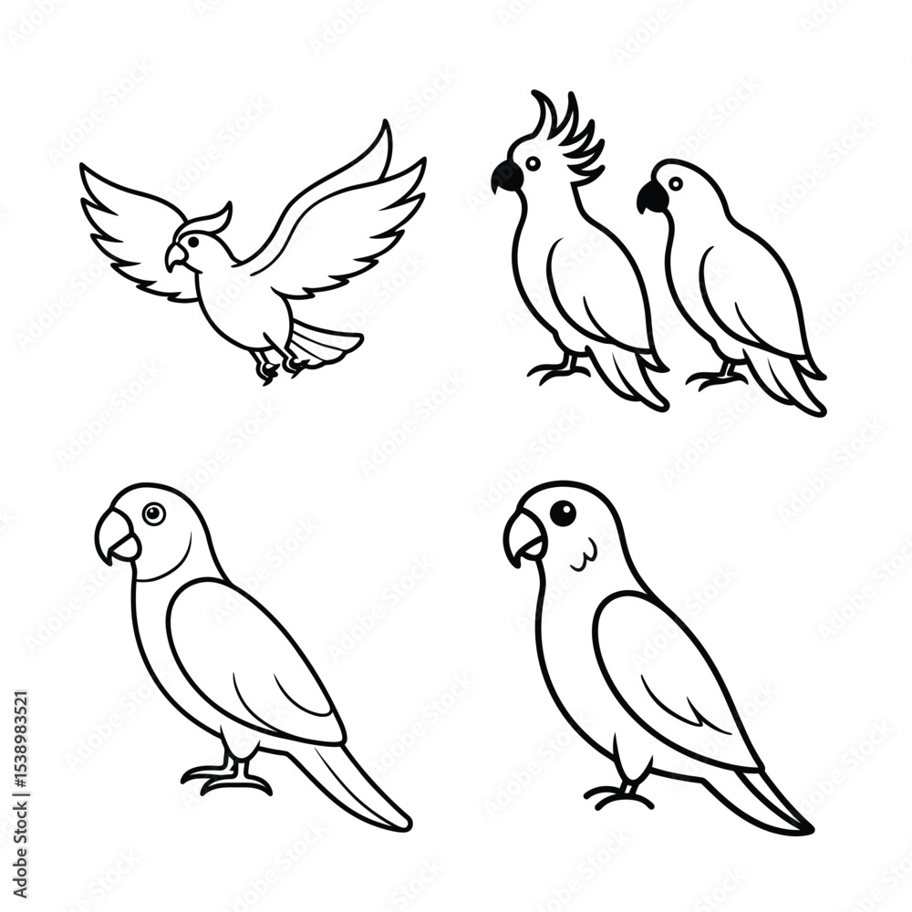 Obraz premium MACOW VECTOR