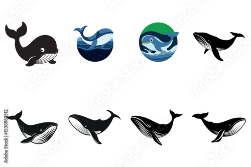 Cute and Realistic Whale Vector Set for Graphic Designers