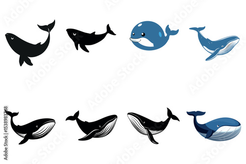 Cute and Realistic Whale Vector Set for Graphic Designers