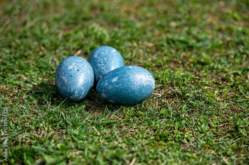 Three vibrant Easter eggs resting on lush green grass under a clear sky.