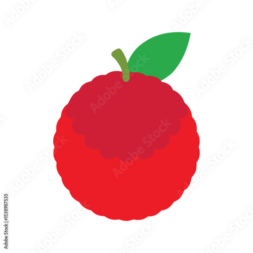 Delicious lychee fruit with red skin Vector illustration on white background