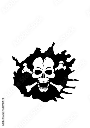 Tete de mort crane fantaisie drapeau