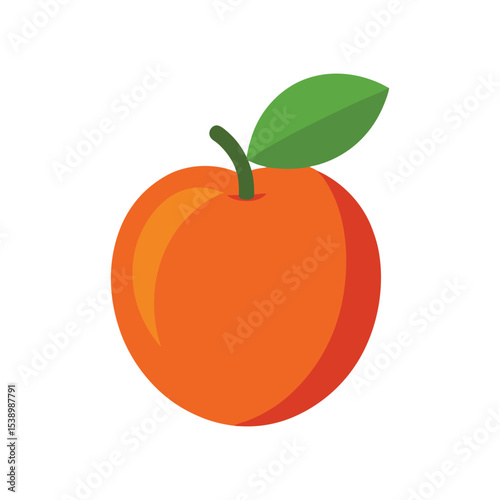 Fresh nectarine fruit with inner seed Vector illustration on white background