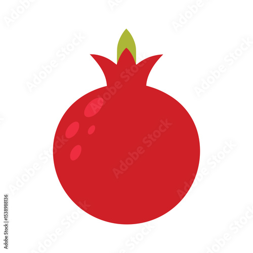 Pomegranate with seeds and shell Vector illustration on white background