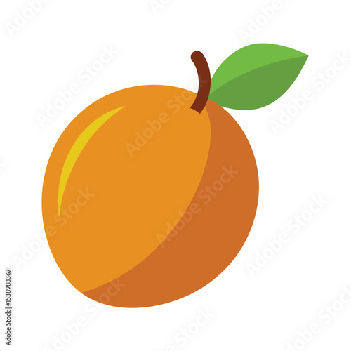 Sapodilla fruit showing brown flesh Vector illustration on white background