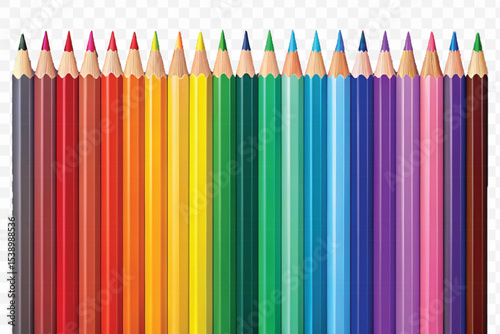  realistic 3d multi color or rainbow color pencil isolated on transparent background