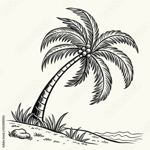 Tropical beach vector illustration: a summer island palm tree silhouette against the sun