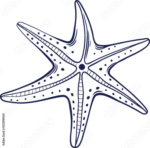 Isolated red tropical starfish sea animal vector illustration