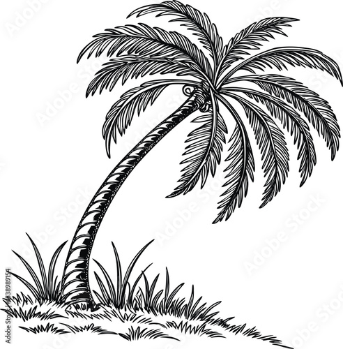 Tropical beach paradise vector illustration with palm tree silhouettes