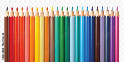  realistic 3d multi color or rainbow color pencil isolated on transparent background