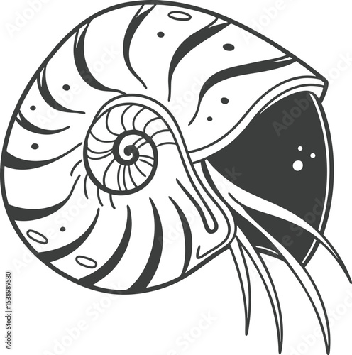Elegant floral pattern featuring a vintage snail shell vector illustration with colorful nature elements