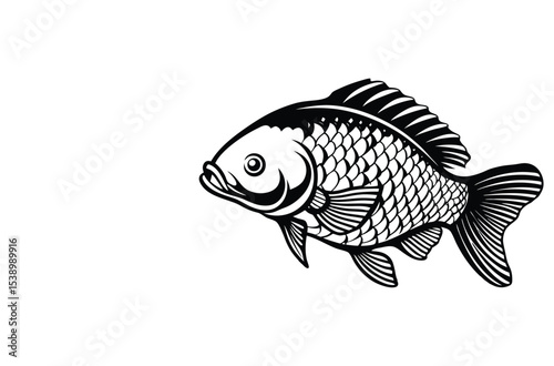 Collection of bass fish, fish club logo design, vector illustration.