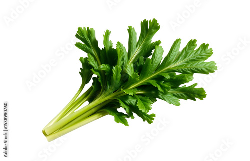 Fresh green chrysanthemum greens bunch isolated on black background