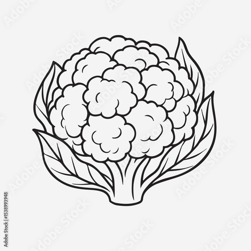 Minimalist cauliflower icon, clean single-line art. Simple, bold outline of a cauliflower head, abstract and geometric. Consistent line weight, no internal details. Centered, isolated on a white backg