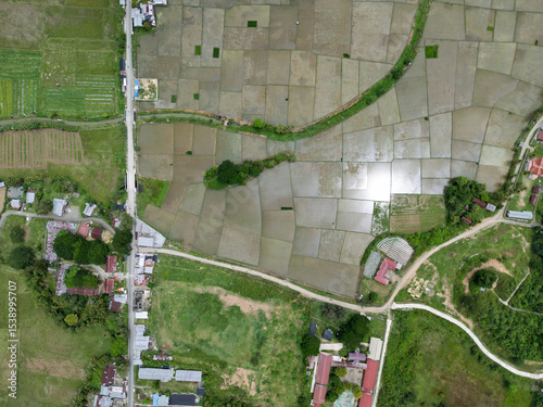 Top-Down Aerial View of Geometric Rice Fields & Rural Road Network in Aceh, Indonesia
