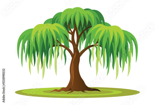 Weeping Willow Tree Vector Illustration for Elegant Weeping Willow Tree garden Forest Scene