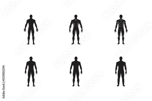 male human body belonging to an adult man vector silhouette