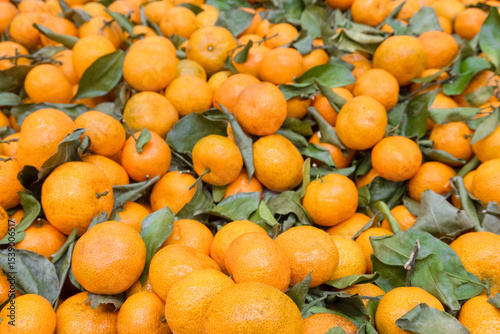 ripe, juicy new crop tangerines with green leaves