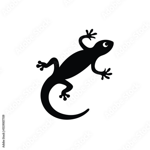 Lizard on a white on transparent background