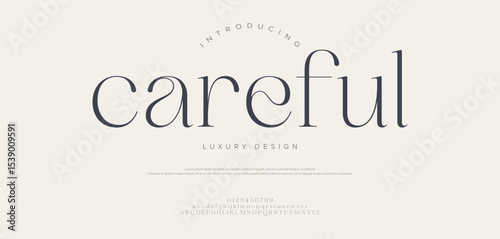 Careful, Elegant Font Uppercase Lowercase and Number. Classic Lettering Minimal Fashion Designs. Typography modern Serif fonts regular decorative vintage concept.
