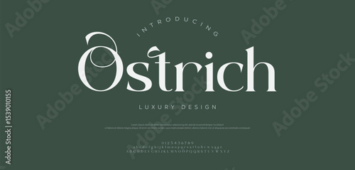 Ostrich Abstract elegant font, vintage type or luxury premium typeface, vector English royal alphabet. Classic typography in modern or old art style, serif letters for modern or retro poster font
