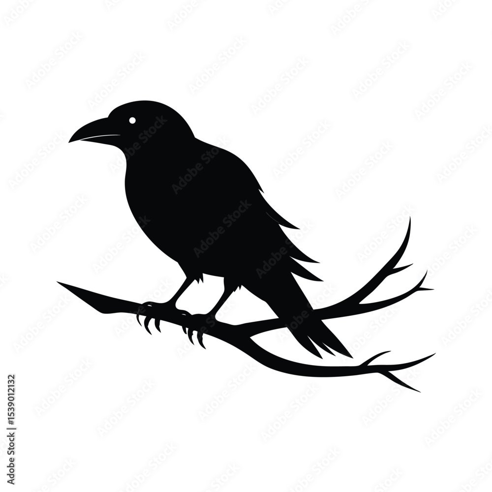Obraz premium crow on a branch on transparent background 