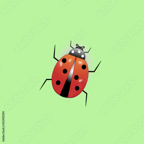 beetle