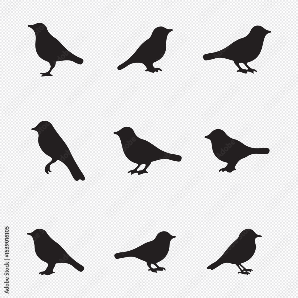 Fototapeta premium Vector set of bird silhouettes. Birds silhouette different vector illustrations.