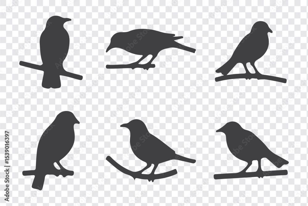 Fototapeta premium Silhouettes of birds doodle set. Black collection design animal cartoon for nature. Element graphic drawing sketch and isolated white background. Abstract decoration symbol.