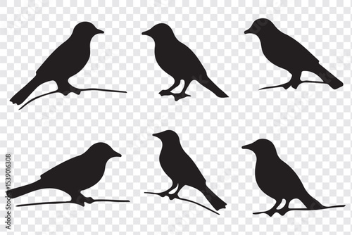 Wallpaper Mural Silhouettes of birds doodle set. Black collection design animal cartoon for nature. Element graphic drawing sketch and isolated white background. Abstract decoration symbol. Torontodigital.ca