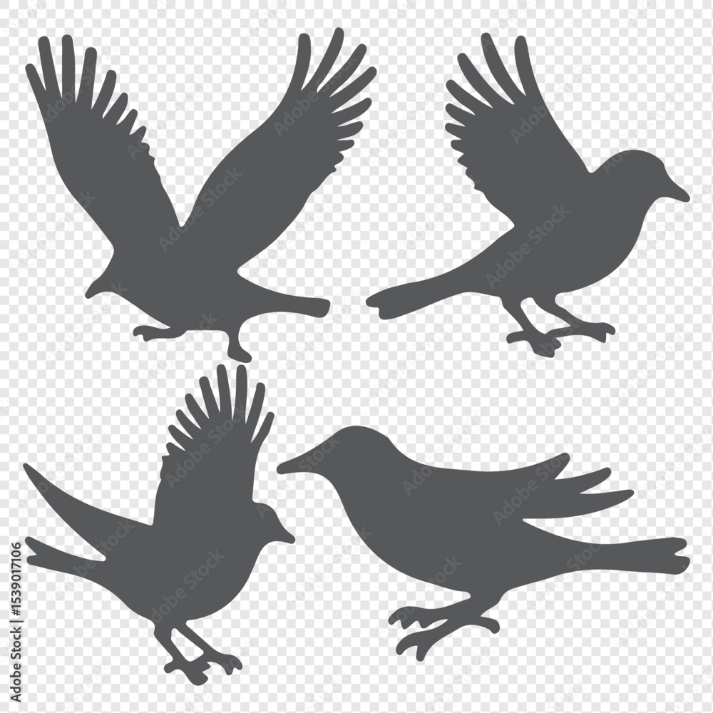 Obraz premium bird silhouettes, black and white, vector graphics, various poses, perched birds, flying birds, detailed bird shapes, minimalist design, ornithology illustration, nature clipart, bird watching guide